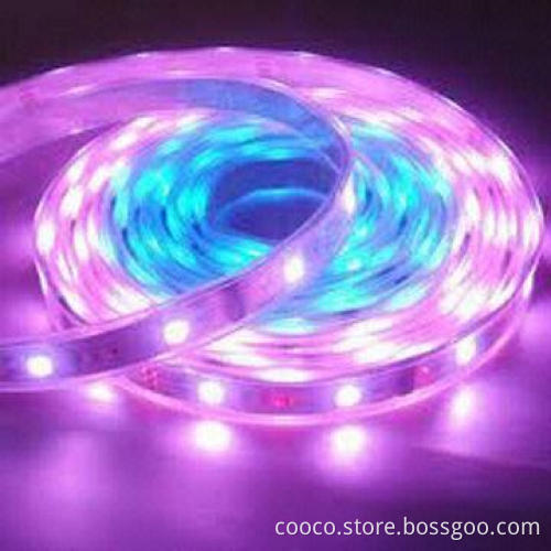 3528 SMD Multi-color Flexible LED Strip with IP68 Grade and 12V DC Voltage, Samples Available